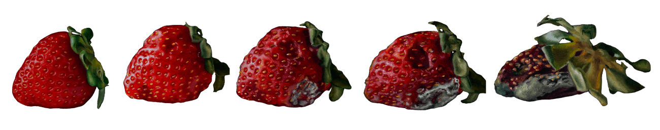 Fresas fases horizontal - Campaña Strawberry