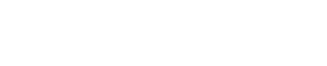 Logo blanco proyecto Acción Mentora de Diaconía España