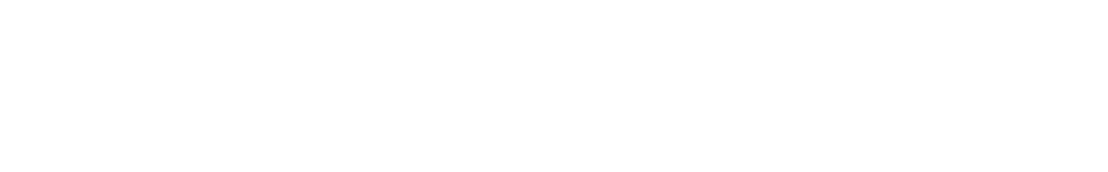 Logo blanco proyecto Acción Mentora de Diaconía España