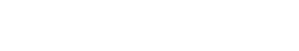 Logo blanco proyecto Proyecto Zoé prevención del suicidio de Diaconía España