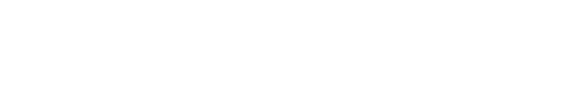 Logo blanco Solidaridad en red. área Promoción del voluntariado de Diaconía España